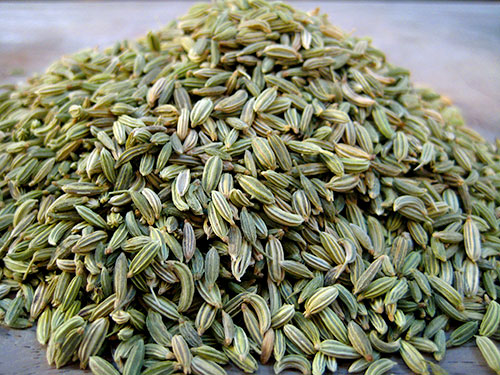 fennel-seeds.jpg